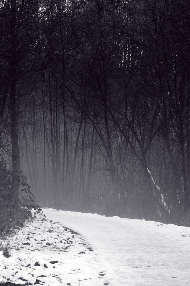 Merry Scary Christmas