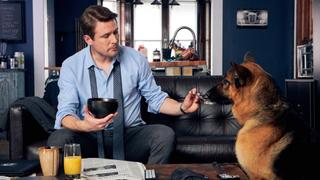 Rex and the City Rex and the City