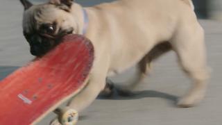 Ruff Riders Ruff Riders