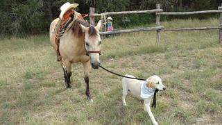 Size Doesn't Matter Size Doesn't Matter