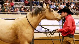 Unsaddled and Unraveled