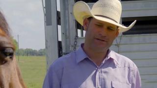 Buckskin for the Win!