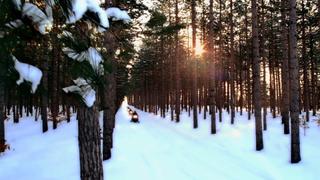 Snowmobiles and Oktoberfest