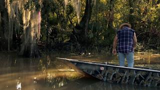 Mystery in the Bayou Mystery in the Bayou