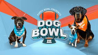 Puppy Bowl XVI Presents: The Dog Bowl III
