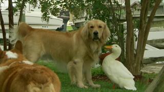 High Flying Hugs High Flying Hugs