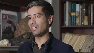 Tastes Like T-Rex Tastes Like T-Rex