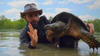 Legendary Turtle of Texas Legendary Turtle of Texas