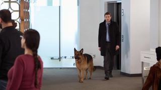 In a Family Way In a Family Way