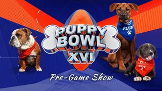 Puppy Bowl XVI Pre-Game Show