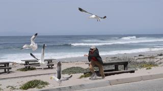 How to Clip a Mockingbird How to Clip a Mockingbird