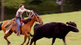 Partnership Hits the Fan