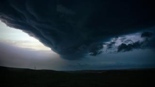 Mutant Wind Mutant Wind