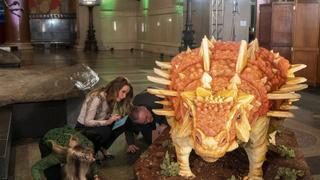Dinosaur Cake Dinosaur Cake