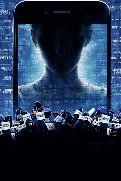 After Truth: Disinformation and the Cost of Fake News
