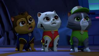 PAW Patrol