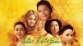  watch The Secret Life of Bees