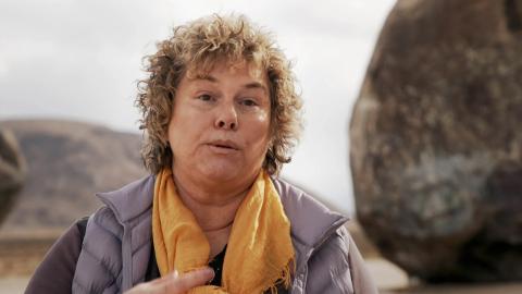 The Immortality Machine