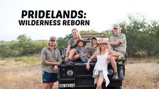 Pridelands: Wilderness Reborn