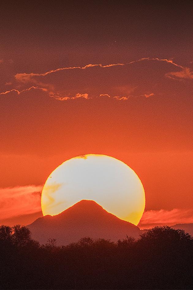 Pridelands: Wilderness Reborn