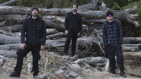 Haunted Hollow Forest