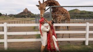 Best Fails of The Month ----- Ep. 3.2