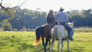 Trigger Happy Trigger Happy