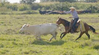 A Dying Breed A Dying Breed