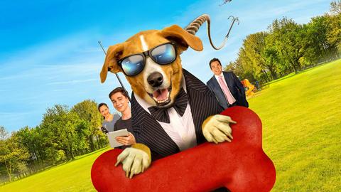 Agent Toby Barks