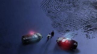 Body of Evidence Body of Evidence