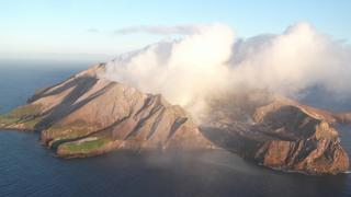 Islands Of Life Islands Of Life