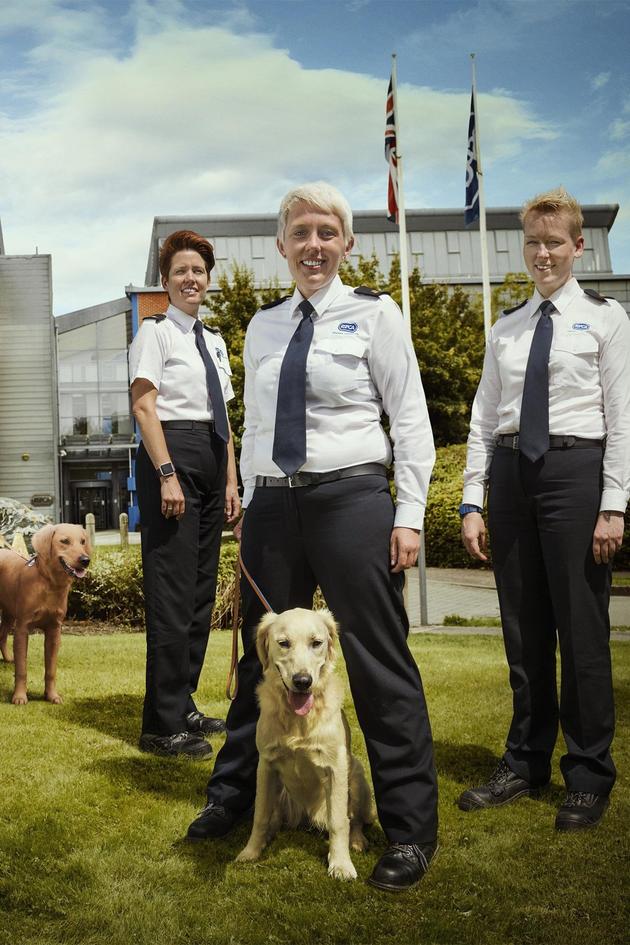 Animal Rescue School