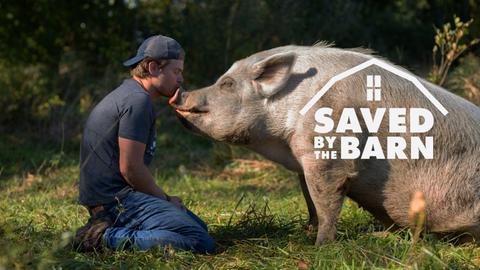 Saved By The Barn