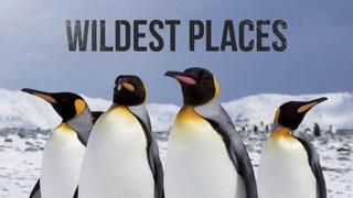  watch Wildest Places