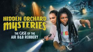 Hidden Orchard Mysteries: The Case of the Air B & B Robbery