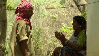 Leopards of Mumbai Leopards of Mumbai