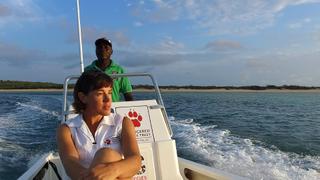 Karen and the Dugongs