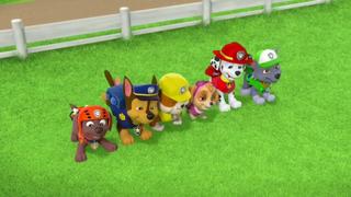PAW Patrol