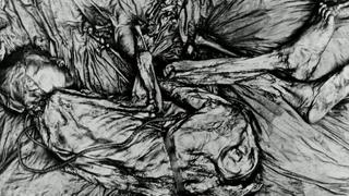 Bog Bodies Bog Bodies