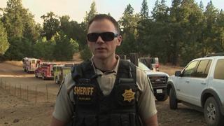 Mexican Cartel Pot Grow in Our Backyard