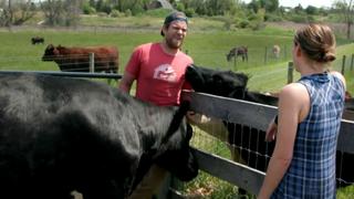 Working at the Cow Wash Working at the Cow Wash