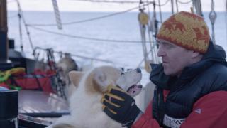 Ice Dogs: The Only Companions Worth Having