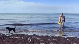 Beachfront Bargain Hunt