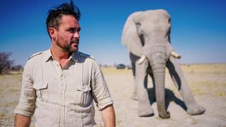 Man vs. Elephant Man vs. Elephant