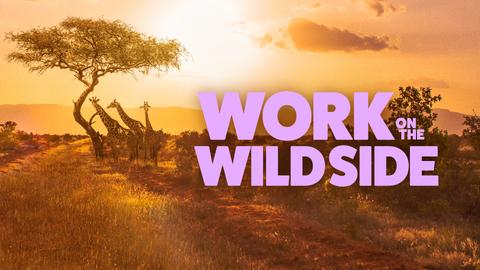 Work on the Wild Side