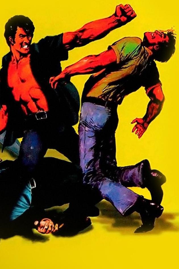 The Street Fighter's Last Revenge