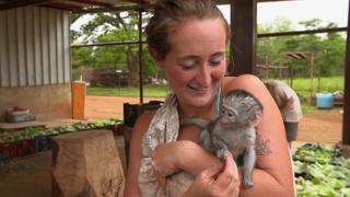 Animal Colonies Animal Colonies