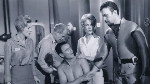 The Brand of the Beast