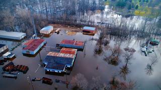 Mutant Floods Mutant Floods