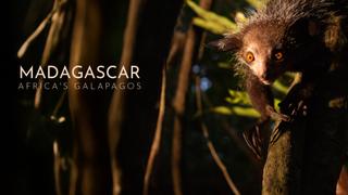 Madagascar: Africa's Galapagos